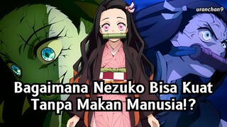 Inilah Alasan Iblis Nezuko Bisa Bertahan Hidup Tanpa Memakan Manusia!!✨