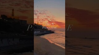 FREE PALESTINE🇵🇸 ❤❤❤❤ #palestina #palestine #freepalestine #shorts #foryou