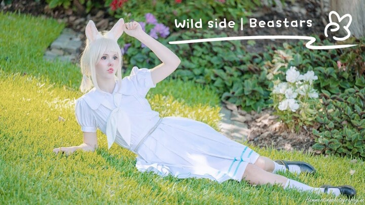 (Dance Cover) Wild Side-Beastars op (Tea Cosplay)