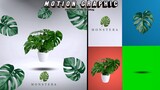 DIY / Motion Graphic Product Intro KineMaster Tutorial