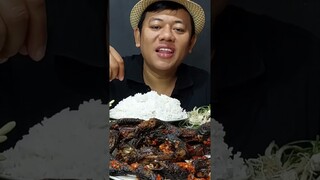 MUKBANG SAMBEL BELUT LALAPAN BUNGA PEPAYA MENTAH