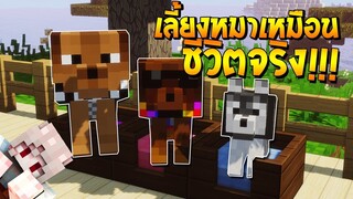 จะเป็นอย่างไร? ถ้าสามารถ "เลี้ยงหมา" ในมายคราฟ เหมือนชีวิตจริง!? (Minecraft Doggy Talents)