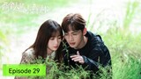 A Romance Of The Little Forest Episode 29 English Sub