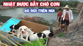 GIẢI CỨU BẦY CHÓ CON BỊ BỎ RƠI TRÊN NÚI (Baby Dogs)