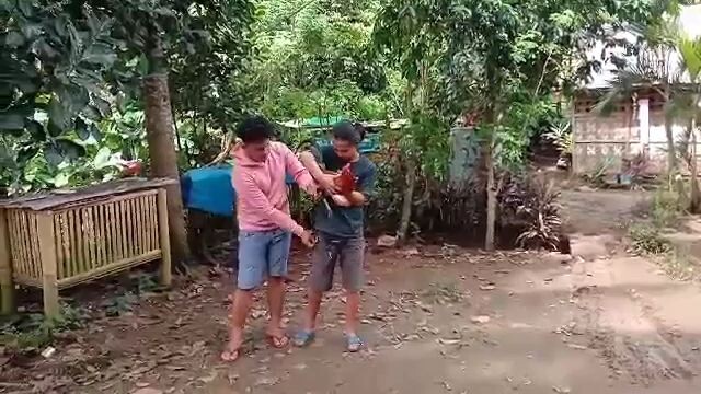 tigbakay sa silingan hihi