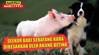 Kisah Seekor Babi Yang Dibesarkan Oleh Anjing Betina Di Peternakan | Alur Cerita Film BABE (1995)