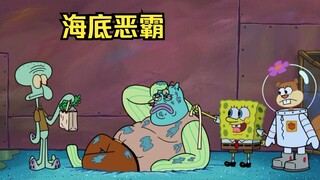 Squidward belajar karate dari Sandy dan berubah menjadi pengganggu bawah laut.