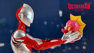 ‍ [Xem nhanh]SHF Ultraman & EMI Ultraman: Đang trỗi dậy