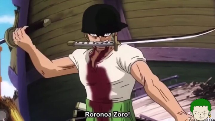 King RoronoZoro #fyp