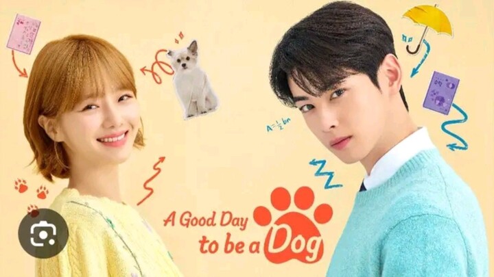 A Good Day to be a Dog EP 11 (Tagalog Dubbed)