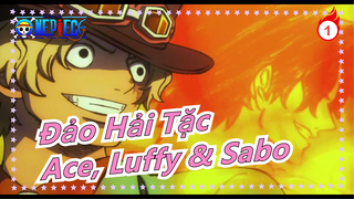 [Đảo Hải Tặc] 2020 rồi, ba anh em Ace, Luffy và Sabo vẫn đang tấn công mình_1