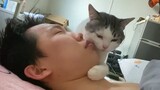 100% naps with cats are the best - Cute Cats And Their Human Sleep Together