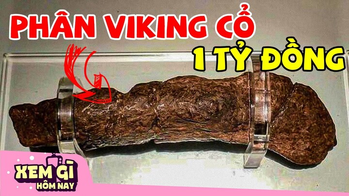 7 Cục CỨ.t. Đắt Giá Nhất Hành Tinh | Sở Hữu 1 Cục Cũng Thành Tỷ Phú