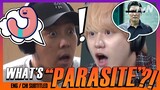 ▬ What's "PARASITE"? ▬ (ENG/CHI SUB) | New Journey To The West 7 [#tvNDigital]