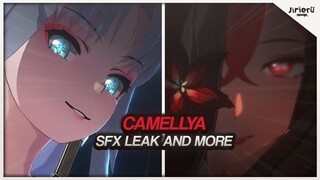 1.3-1.4 CAMELLYA LEAKED OR IS IT CHUN? FUTURE BANNER INFO AND MORE! | Wuthering Waves Leaks