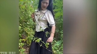 ơ mấy cái cây này rách hết áo người ta rồi
