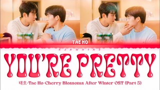 태호 Tae Ho - Pretty - Cherry Blossoms After Winter OST Part 5