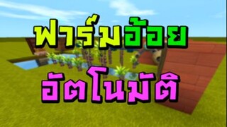 สอนทริกเกอร์ - ฟาร์มอ้อย อัตโนมัติ