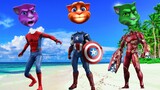 Wrong Heads Top Superheroes I Mèo Tôm - Người Nhện - IronMan - Captain America
