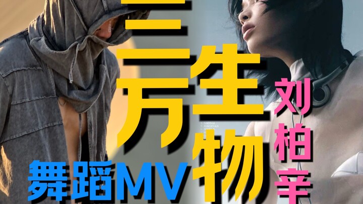 我：不等了我自己给她拍个MV！刘柏辛：好耶就这么拍！