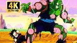 [Extreme 4K] Z Warriors VS Nappa 14-minute battle condensed version, analysis of all characters' ful