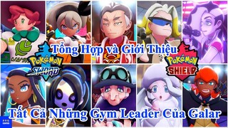 Tổng Hợp và Giới Thiệu các Gym Leader ở Galar | PAG Center