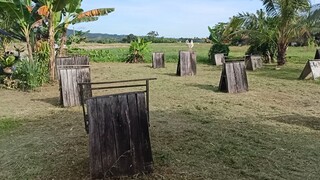 MINI BACKYARD