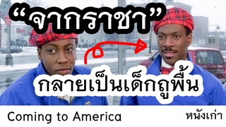 อเมริกาน่าจะดี coming to america(1988)สปอยหนัง