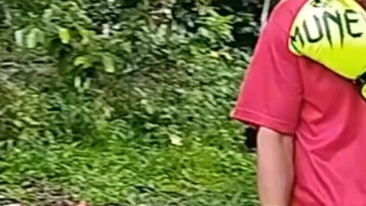 Tuloy lang sa pag bangon