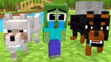 Monster School : The Guide Dogs and Baby Zombie Can't See  - Sad Story - Minecraft Animation