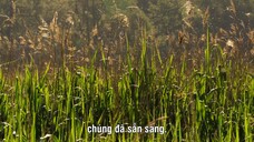 Quần Đảo Anh Hoang Dã EP 4 [Sub Việt]