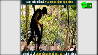 Cuộc sống hoang dã trong rừng p3