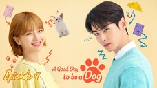 🇰🇷 EP.4 - A Good Day to Be a Dog 2023 [EngSub]