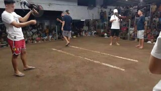 4x Winner Alimbuyogin Broodcock
