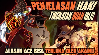 INI ALASAN KENAPA ACE BISA TERLUKA OLEH AKAINU !!? PENJELASAN TENTANG HAKI