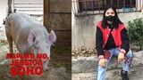 Kapuso mo, Jessica Soho: June 5, 2022, Dating baboy pero ang sexy na ngayon ? Kmjs latest episode
