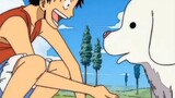 Luffy pecinta hewan ( ◜‿◝ )♡