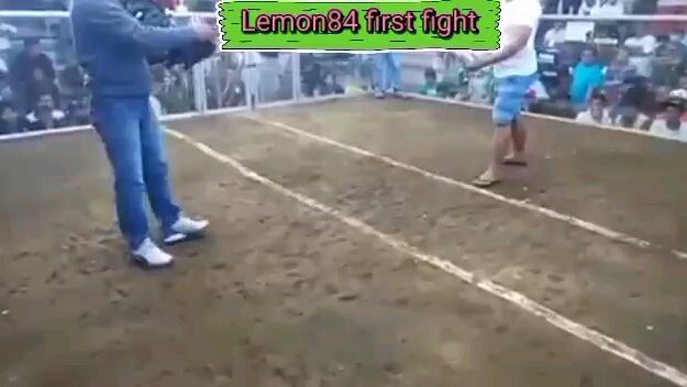 Lemon84 1st fight 1cock ulutan