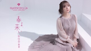 【GARNiDELiA】是春天的味道呀！《春よ、来い》  cover