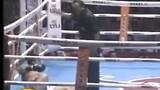 funny boxing