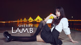 ［Sherry］Lamb❤生日作❤Tell me, Show me, Give me love & truth❤