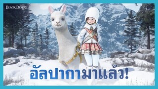 [Black Desert] อัลปากามาแล้ว!