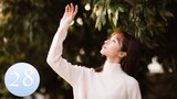 ENG SUB【Unrequited Love 暗恋橘生淮南】EP28｜Chinese Romantic Drama Starring: Hu Yitian & Hu Bingqing