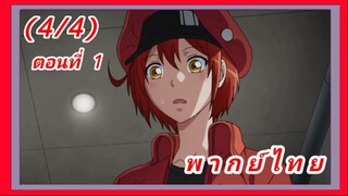 เซลล์ขยัน พันธุ์เดือด ตอนที่ 1 [พากย์ไทย] (4/4)