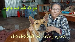 Chú chó biết NÓI TIẾNG NGƯỜI  nghe mà nổi cả da gà