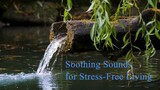 Soothing Sounds for Stress-Free Living