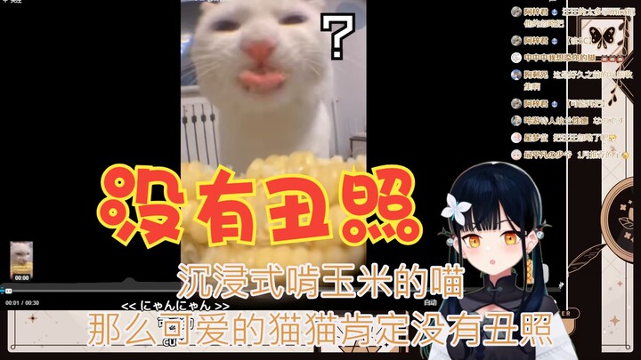 【B站入驻VUP】日本赶尸师看那么可爱的猫猫肯定没有丑照【八鏡mira】