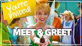 MOST INCREDIBLE DISNEY MEET & GREETS! Ask The Disneyland Princesses