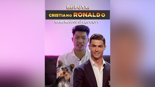 Bé Putxi Của CR7 là dòng chó gì? tuitienpet dcgr pet LearnOnTikTok yorkshire