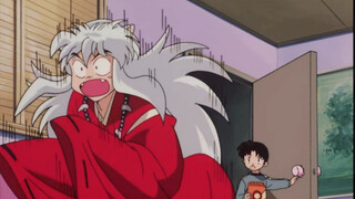 Nơi này... tràn ngập mùi hương của Kagome!